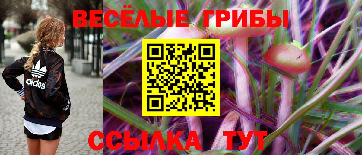 Донецк  Псилоцибиновые грибы мицелий  Вход с VPN 